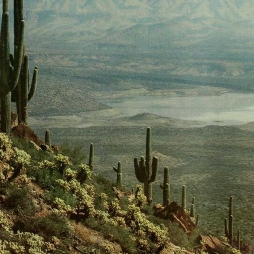 Meet your Posher, Judith